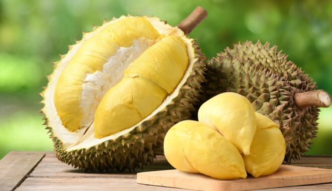 Perang AS-Iran Mengubah Arus Lanskap Dunia, Posisi Indonesia Di Bawah Kepemimpinan Prabowo-Gibran?