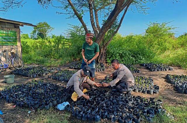 Kanit Binmas Polsek Dringu Aipda Davit Anggun Prayudo memimpin kegiatan penanaman ribuan pohon mangrove di pesisir pantai Dringu. (Foto: Istimewa) 