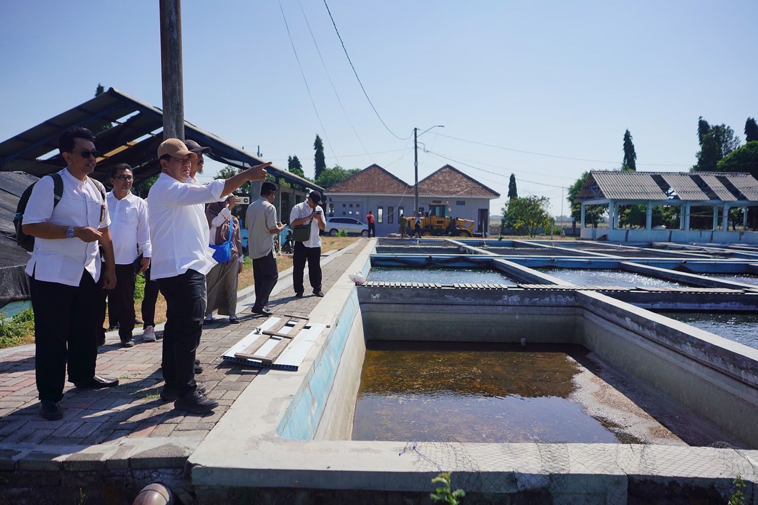 Penjabat Wali Kota Probolinggo, Nurkholis, melakukan kunjungan ke BBI yang dikelola oleh Dinas Ketahanan Pangan, Pertanian, dan Perikanan (DKPPP) di Kelurahan Kedung Asem, Wonoasih. (Foto: Istimewa) 