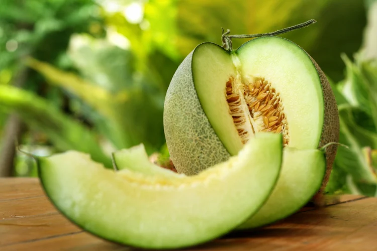 Buah melon kaya manfaat bagi kesehatan tubuh. (Foto: Net)
