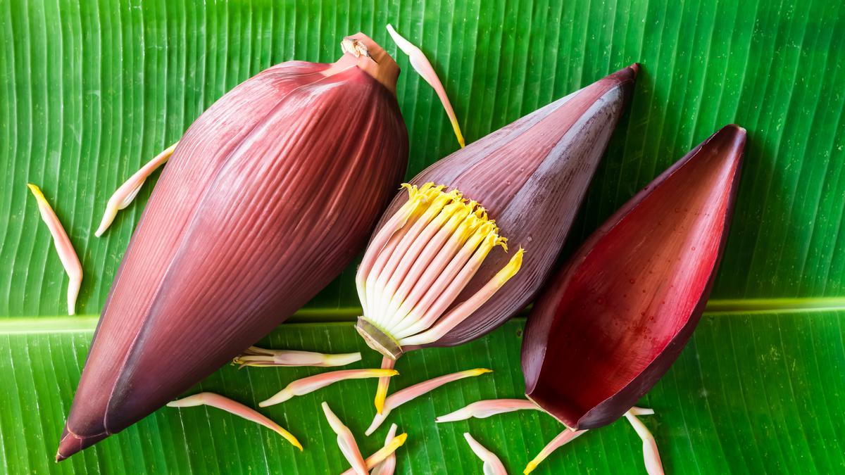 Jantung pisang (Foto: Shutterstock)