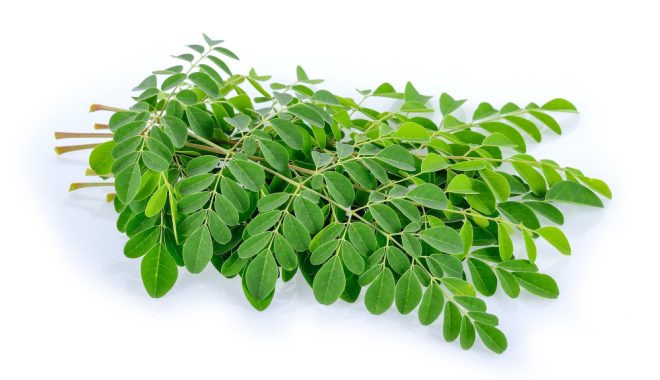 Masyarakat Demo Kejari Pamekasan, Tuntut Kejelasan Tiga Dugaan Kasus Korupsi