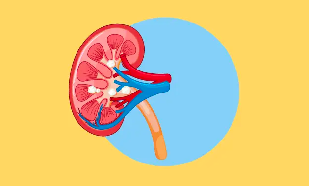 PKB Naik Kelas jadi Partai Gerakan