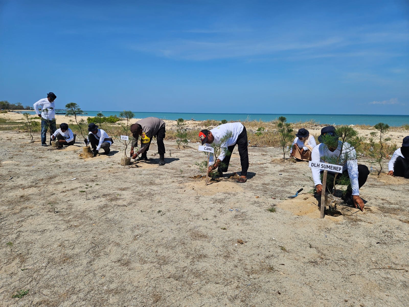 Aksi penanaman 2.000 bibit cemara udang di Pantai Beringin, Desa Banmaleng, Pulau Giliraja, Kecamatan Giligenting, Kabupaten Sumenep, Jumat (17/10/2025). (Foto: Istimewa) 