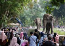 Lampaui Target, TMR Dikunjungi 421 Ribu Wisatawan