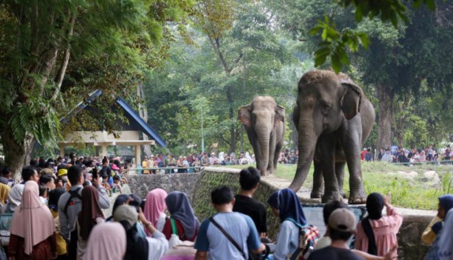 Masyarakat Demo Kejari Pamekasan, Tuntut Kejelasan Tiga Dugaan Kasus Korupsi