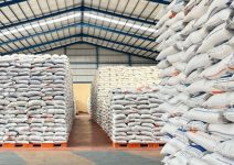 Tak Khawatir Ancaman El Nino, Stok Beras RI Mencapai 4,6 Ton