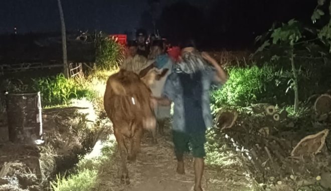 Perang AS-Iran Mengubah Arus Lanskap Dunia, Posisi Indonesia Di Bawah Kepemimpinan Prabowo-Gibran?