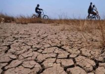 Tujuh Kabupaten/Kota di NTB Terancam Kekeringan Ekstrem