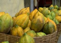 Buah Carica Kian Diminati, UMKM Wonosobo Dorong Oleh-Oleh Khas Dieng Semakin Berkembang