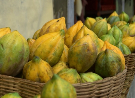 Buah Carica khas Dieng. (Foto: Istimewa) 