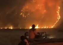 Akses Wisata Bromo Ditutup Total! Kebakaran Terus Merambat ke Berbagai Titik