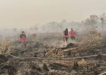 Masyarakat Diminta Waspada Potensi Karhutla di Sumatra, Jawa, dan Kalimantan