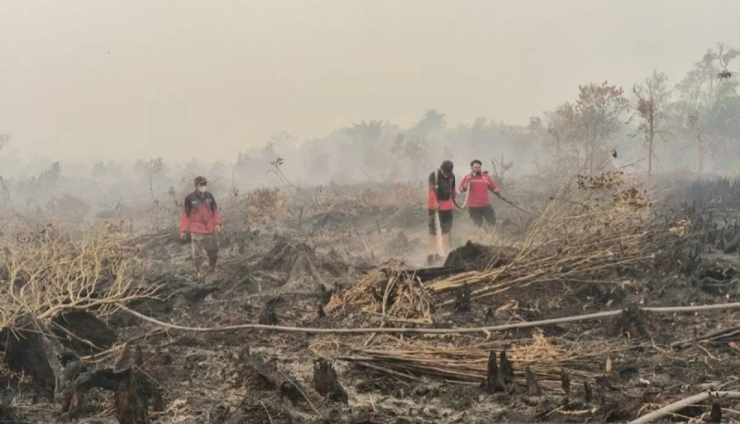 Petugas melakukan penanganan Karhutla di kawasan Petuk Katimpun, Kota Palangka Raya. (Foto: Antara) 