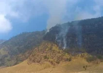 Kebakaran Savana Bromo Capai 80 Hektare
