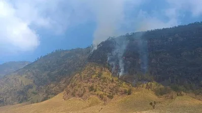 BPBD Probolinggo memantau adanya titik api di kawasan TNBTS pada Kamis (6/8/2026). (Foto: Antara) 