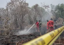 19 Perusahaan Diduga Biang Karhutla Sumatra dan Kalimantan