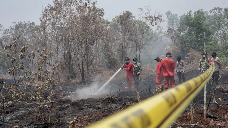 Polres Kampar dan Satgas Karhutla Riau menyegel lahan yang terbakar di Desa Rimbo Panjang, Kabupaten Kampar, Riau, Sabtu (22/8/2026). (Foto: Antara) 