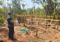 Petani di Sampang Tewas Usai Dianiaya Menggunakan Linggis