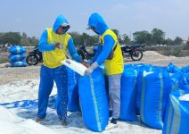 Panen Raya Garam di Sampang, PT Sumatraco Siapkan Penyerapan Puluhan Ribu Ton