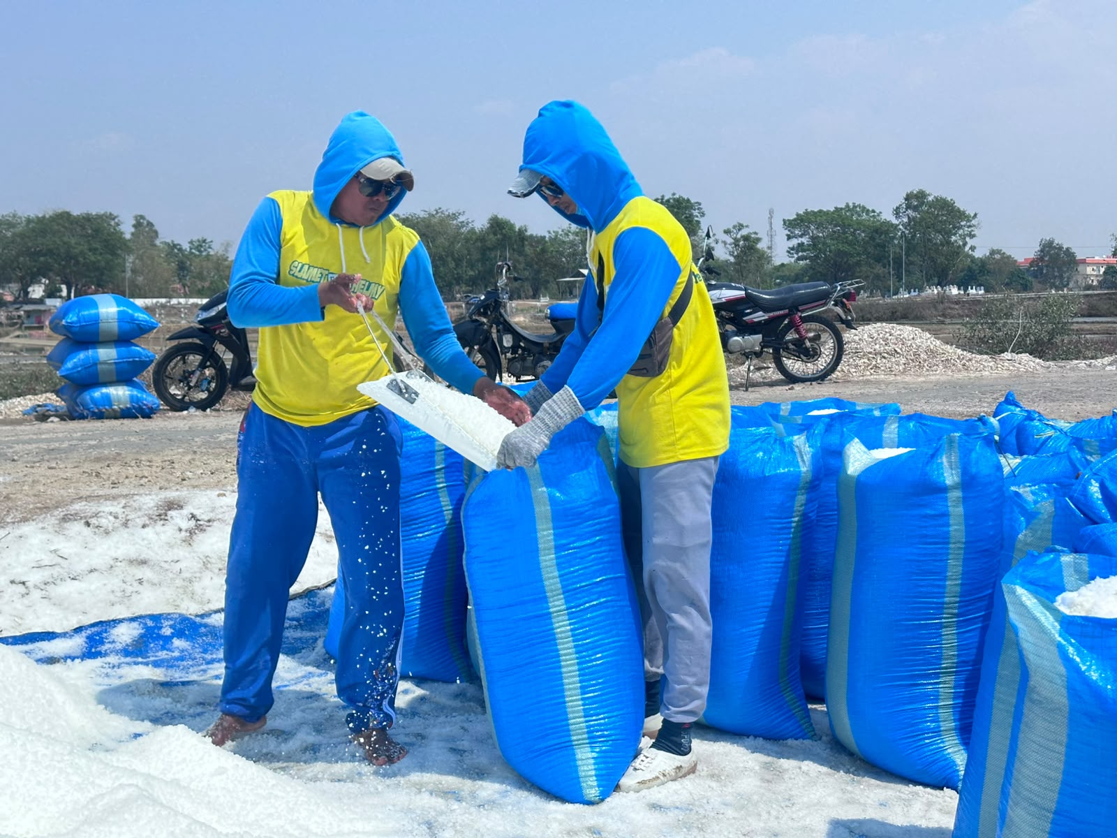 Para petambak yang mampu menghasilkan garam dengan kualitas yang dinilai baik. PT Sumatraco menyatakan kesiapannya menyerap hasil produksi garam rakyat Madura hingga 50.000 ton. (Foto: Diwan)