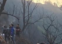 Kebakaran Hutan di Bromo Telan 4 Korban Jiwa