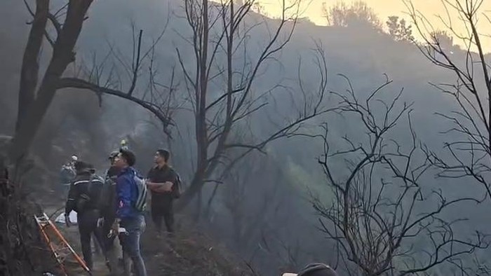 Petugas saat memadamkan kebakaran hutan dan lahan (karhutla) di kawasan Taman Nasional Bromo Tengger Semeru (TNBTS), Kabupaten Probolinggo, Jawa Timur (Jatim). (Foto: Istimewa)