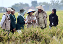Pemanfaatan IoT dan AI di Sektor Pangan: Petani Hemat Pupuk 53 Persen, Pokdakan Nila Mampu Panen 40 Ton