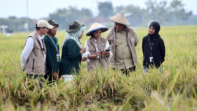 Menteri Komunikasi dan Digital Meutya Hafid saat mencoba mengoperasikan perangkat IoT yang digunakan oleh petani di Desa Pengkok, Kabupaten Sragen, Rabu (05/11/2025). (Foto: Komdigi) 
